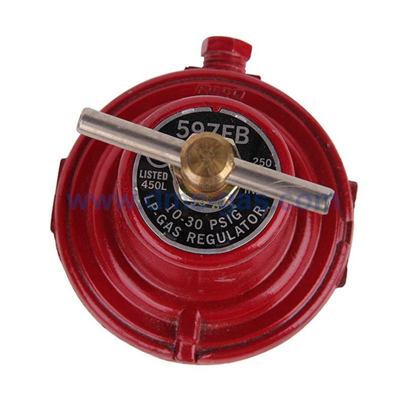 1PC New REGO 597FA 1-15PSI LP-Gas Regulator 450L Compressed Gas Regulator #SPK1 